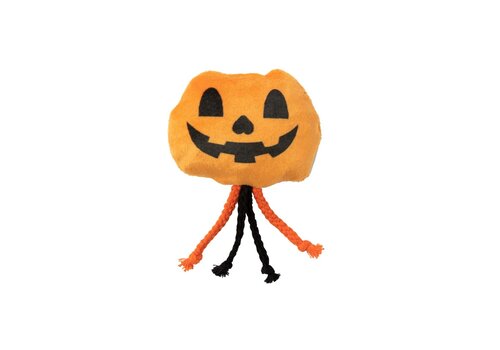 FuzzYard Halloween Cat Percy Pumpkin