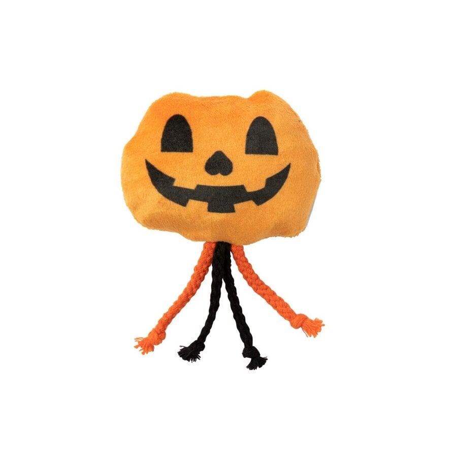 Halloween Cat Percy Pumpkin