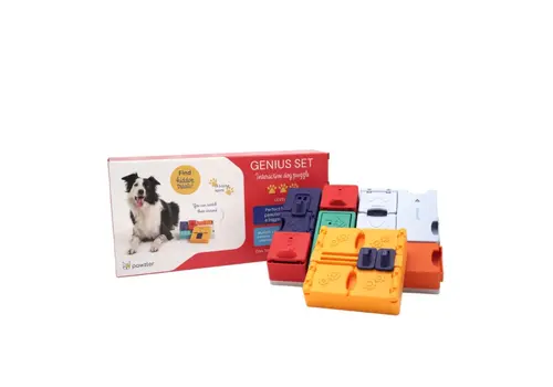 Pawzler Genius Set Pawzler Genius Set