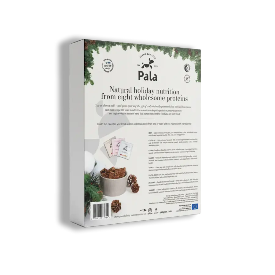 Advent Calendar for Dogs