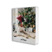 Advent Calendar for Dogs