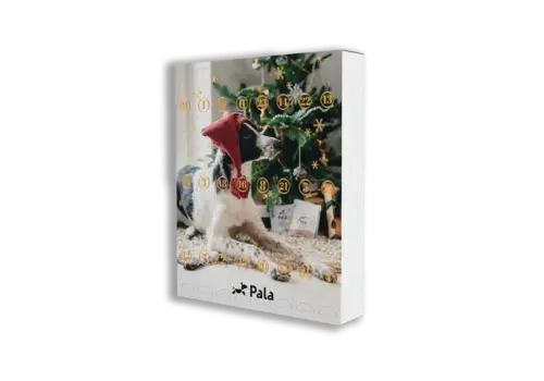 Pala Advent Calendar for Dogs