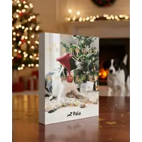 Advent Calendar for Dogs
