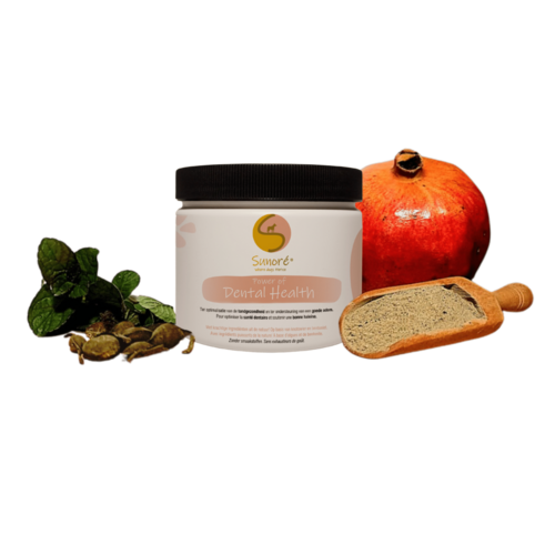 Sunore Power of Dental Health 180 gram