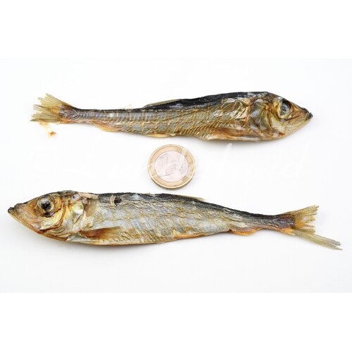 Lunderland Snacks Lodde