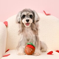 Woof Love Strawberry Chocolate Ball