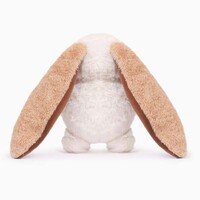 Hoppin’ Easter Floppy Bunny