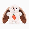 Hoppin’ Easter Floppy Bunny
