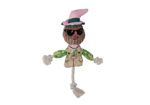 Scarecrow Scary Harry