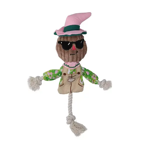 Scarecrow Scary Harry