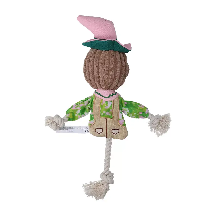 Scarecrow Scary Harry