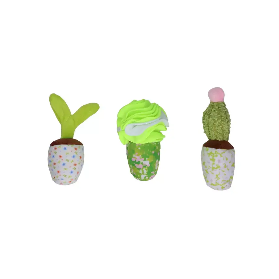 Snuffle Box Sprout, Crop & Cactus