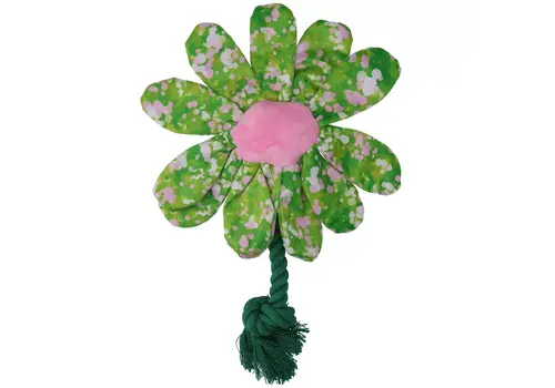 Flower Summer Shrubs