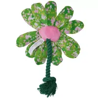 Flower Summer Shrubs