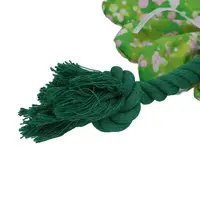 Flower Summer Shrubs