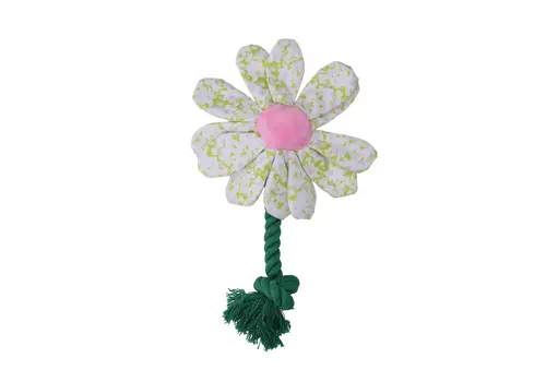 Flower Spring Sakura