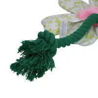 Flower Spring Sakura