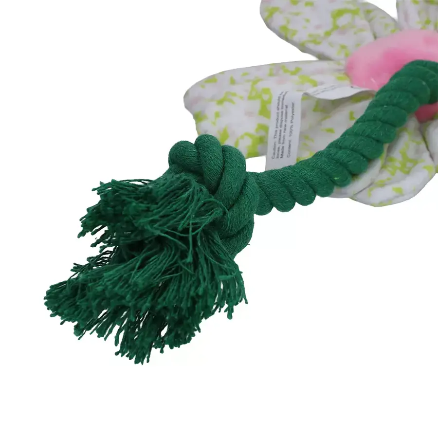 Flower Spring Sakura