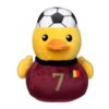 Football - Belgium Duck