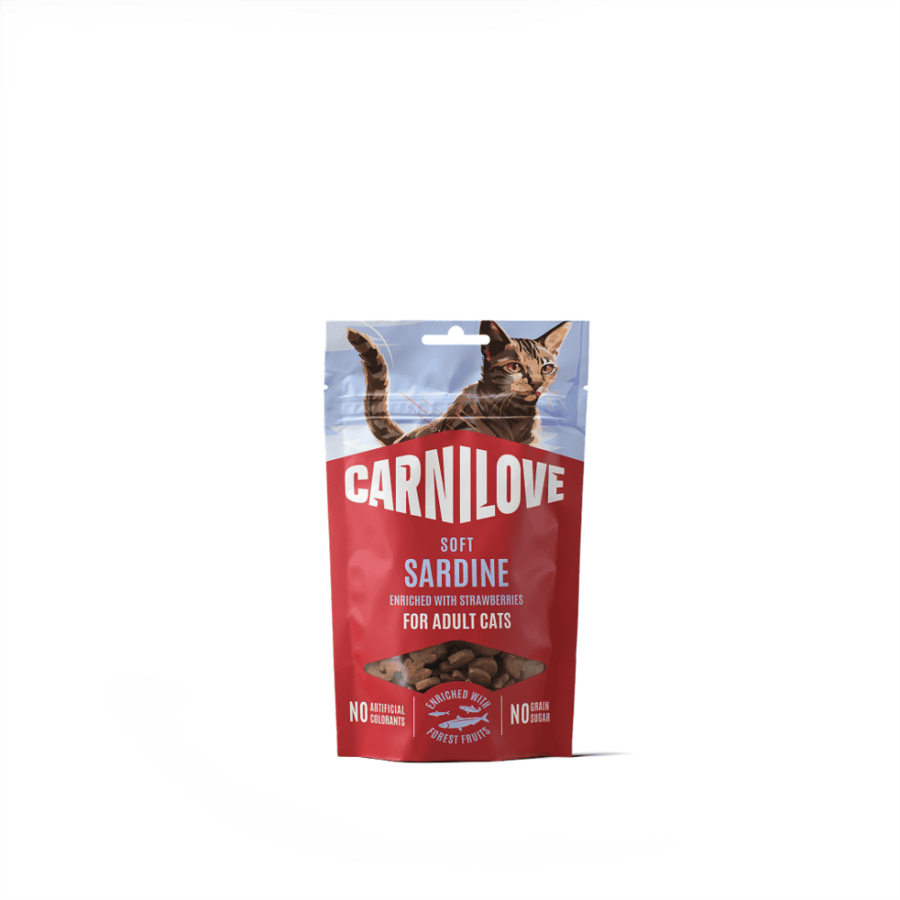 Kat Soft Snack Sardine met Aardbei 50 gram