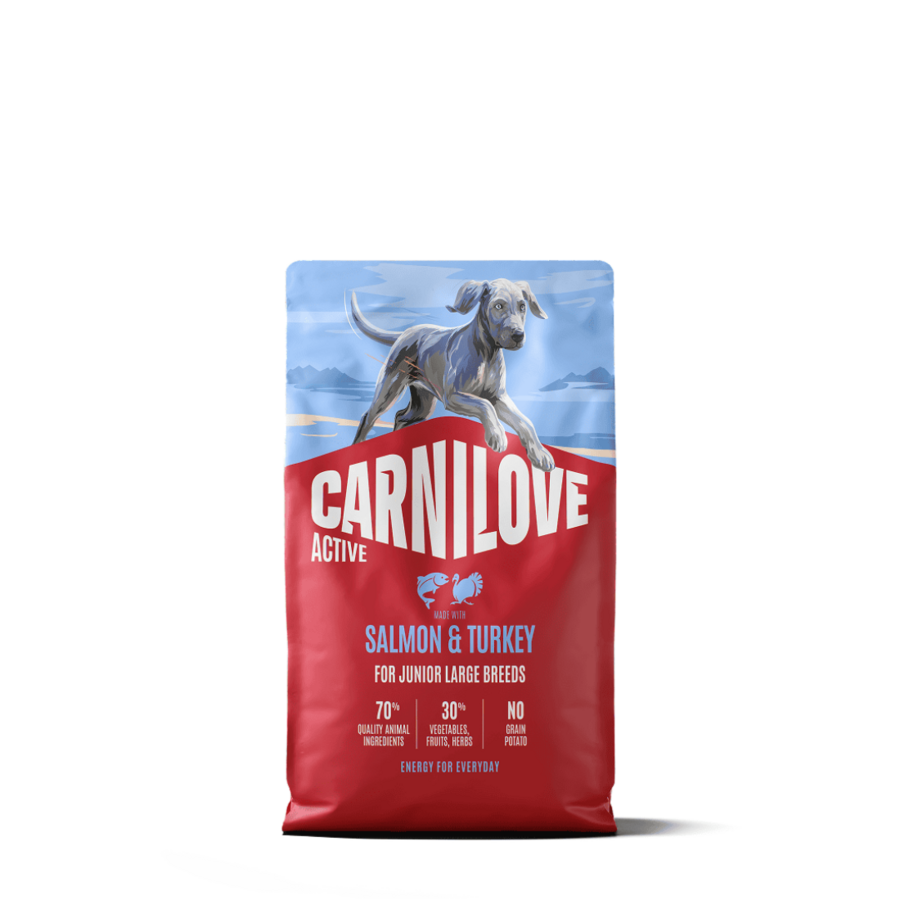 Hond Zalm & Kalkoen Junior Large Breed 4 KG