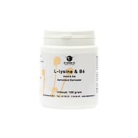 L-Lysine & B6 100 gram