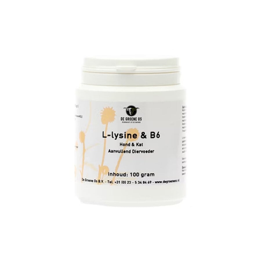 L-Lysine & B6 100 gram
