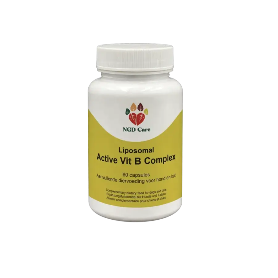 Liposomal Active Vit B Complex 60 capsules