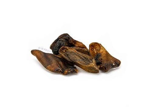 Akyra Kamelenoren 250 gram