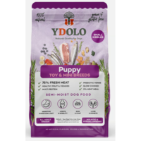 Healthy & Fresh PUPPY MINI 700 gram