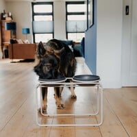 Butler Voerbakstandaard Beige (zonder voerbak) Hond