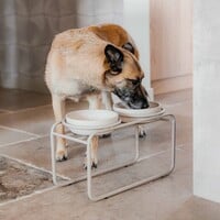 Butler Voerbakstandaard Beige (zonder voerbak) Hond