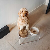 Butler Voerbakstandaard Beige (zonder voerbak) Hond