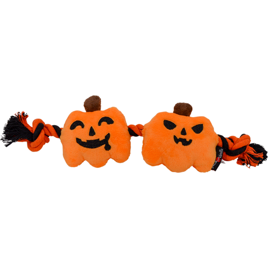 Halloween Touwspeeltje Pompoentjes met Pieper