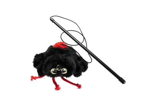 FuzzYard Halloween Cat Webastian Junior