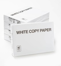 white label kopieerpapier 75 - 80 gram 1 pak (prijs per pak 1 doos bevat 5 pak)