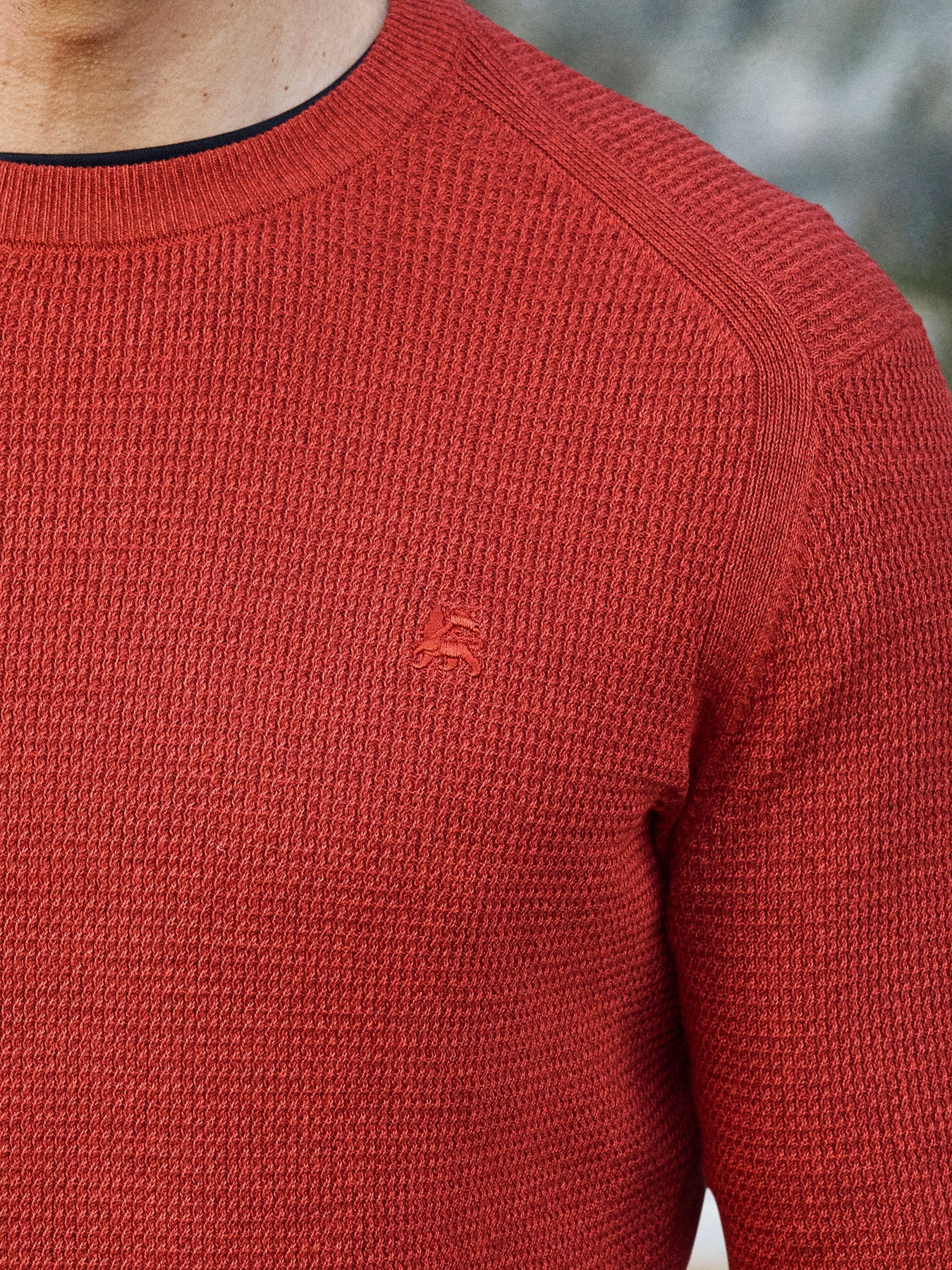 Lerros Trui in Gestructureerde Kwaliteit - Scandinavian Red