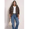 Short Jacket - Auburn Brown