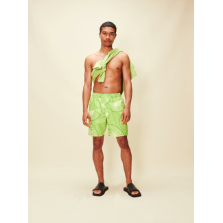 House of Sunny Falling Kiwi Shorts