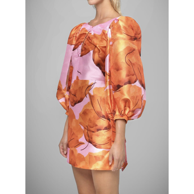 Laagam Liza Fleur Puff Sleeve Dress