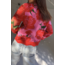 Never Fully Dressed Forrest Cardigan Rosa