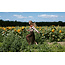 House of Sunny The Sunflower Tripper Tobacco