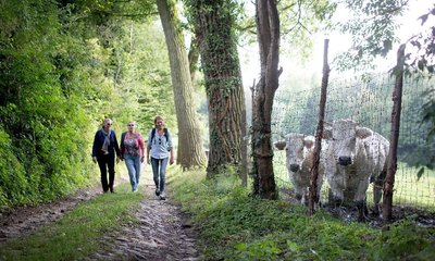 Wandelen, 90 producten