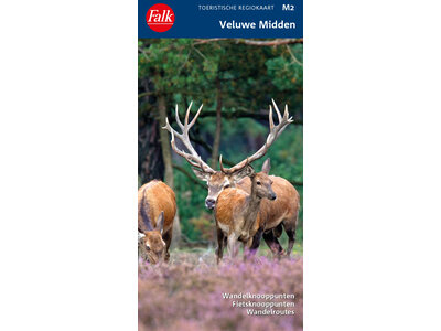 Falk Toeristische Regiokaart M2  Veluwe Midden, picture 480151412