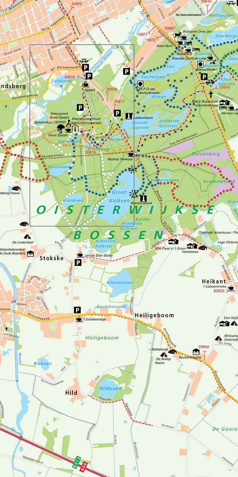 Natuurmonumenten Falk NM Oisterwijkse Bossen & Vennen, Kampina, picture 492345274