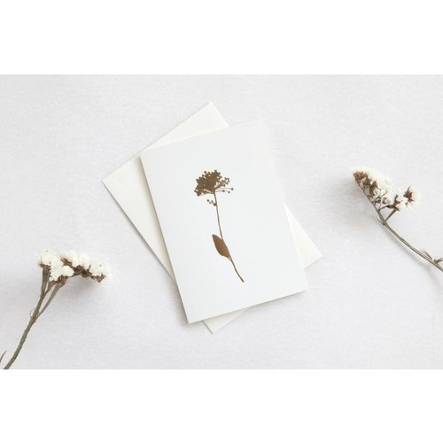Ola Foil Blocked Card Botanical Collection - Allium Ola Foil Blocked Card Botanical Collection - Allium