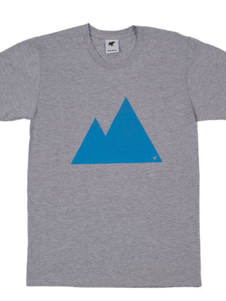 Plain Bear Mountain T Shirt In Grey Truce