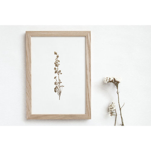 Ola Foil Blocked Print Botanical Collection - Heather Ivory/Brass Ola Foil Blocked Print Botanical Collection - Heather Ivory/Brass