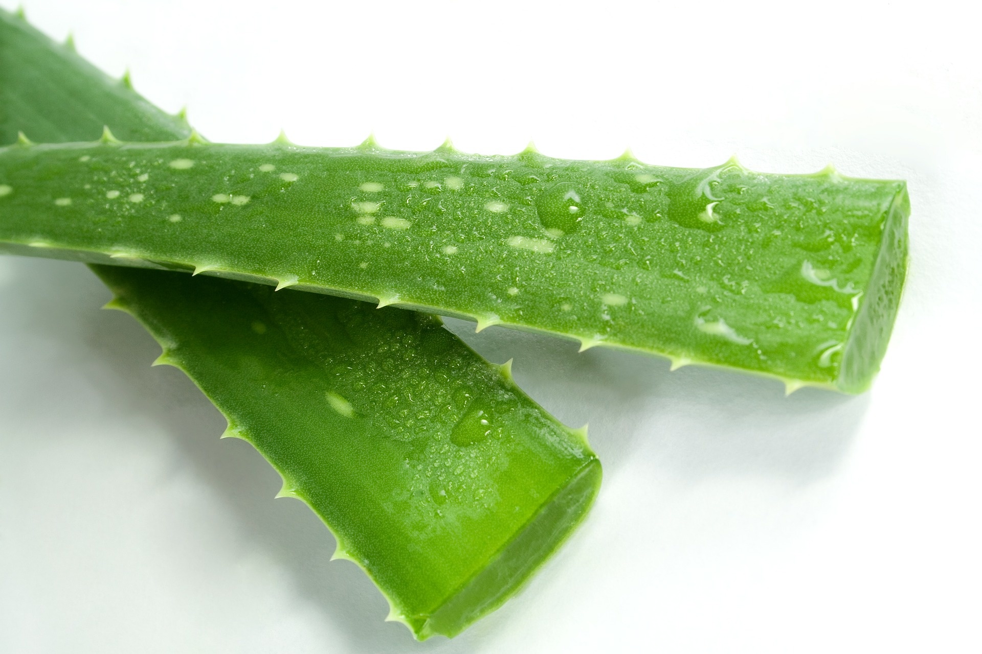 Organic Aloe Vera Gel - Soothes Irritated Skin - DIYS Soap