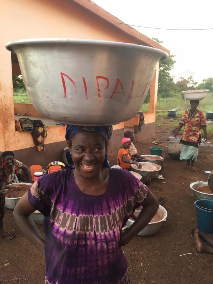 Harvesting shea butter